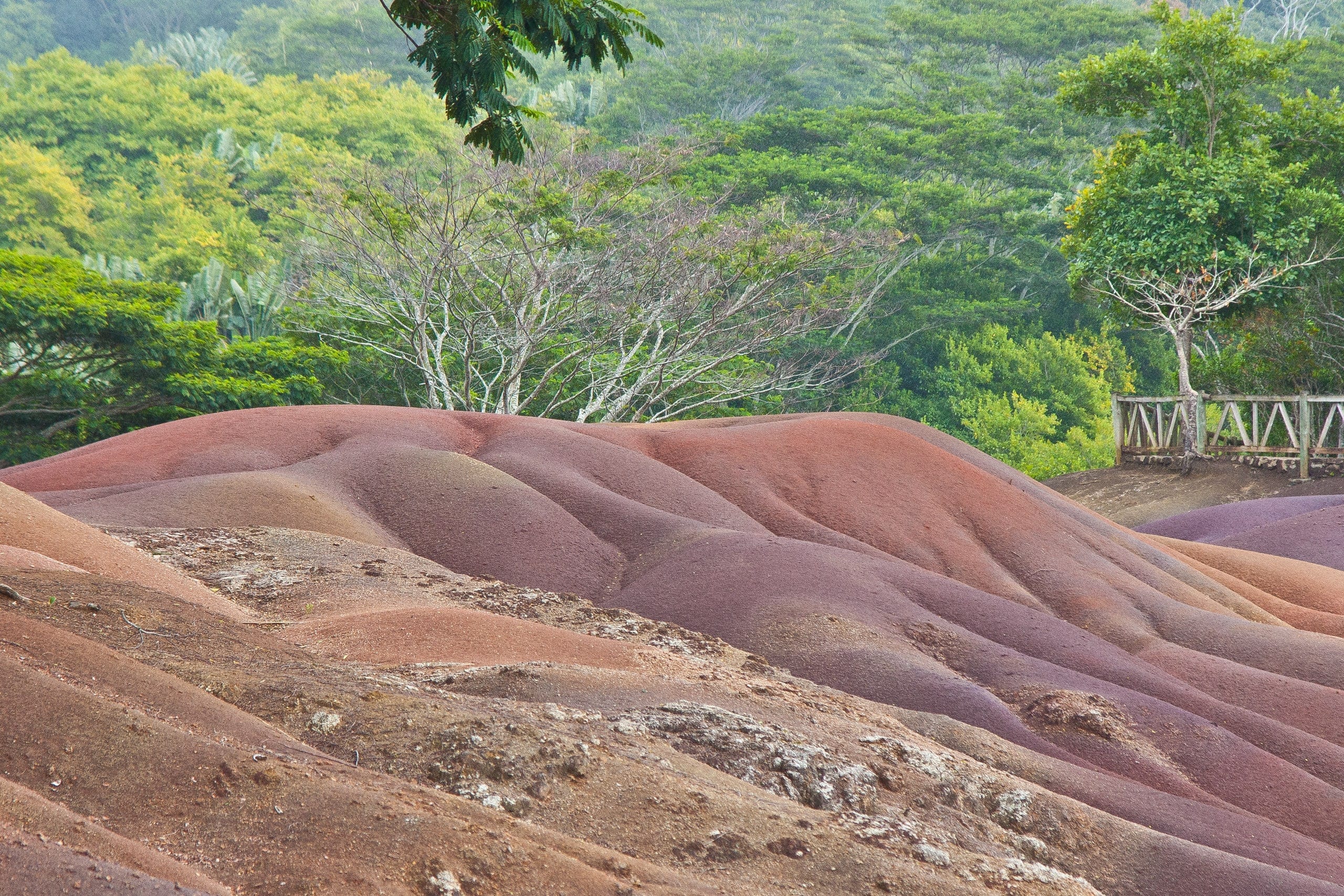 LIAMUD Mauritius island 6451